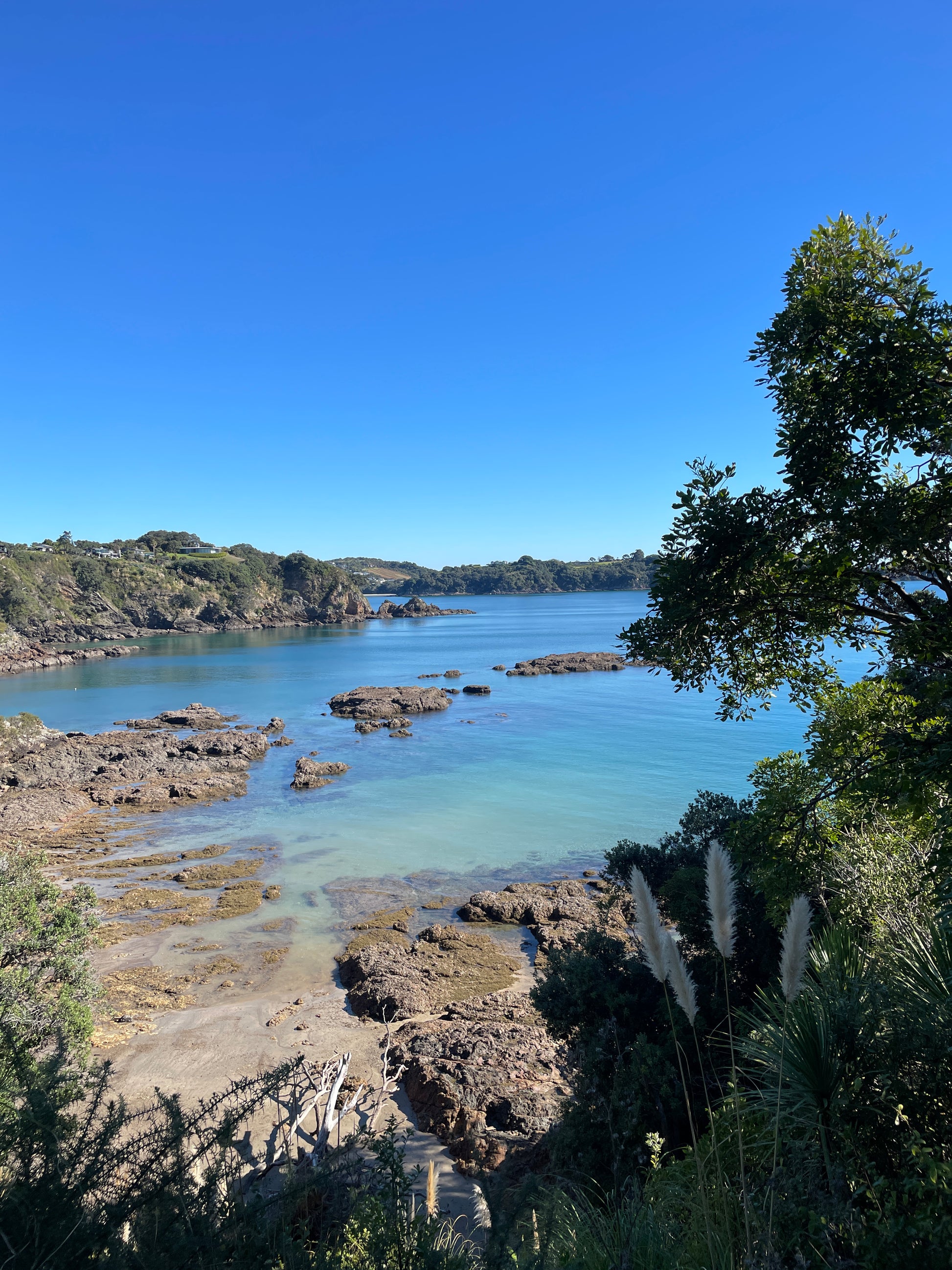 Waiheke Island, New Zealand Workshop | Deposit