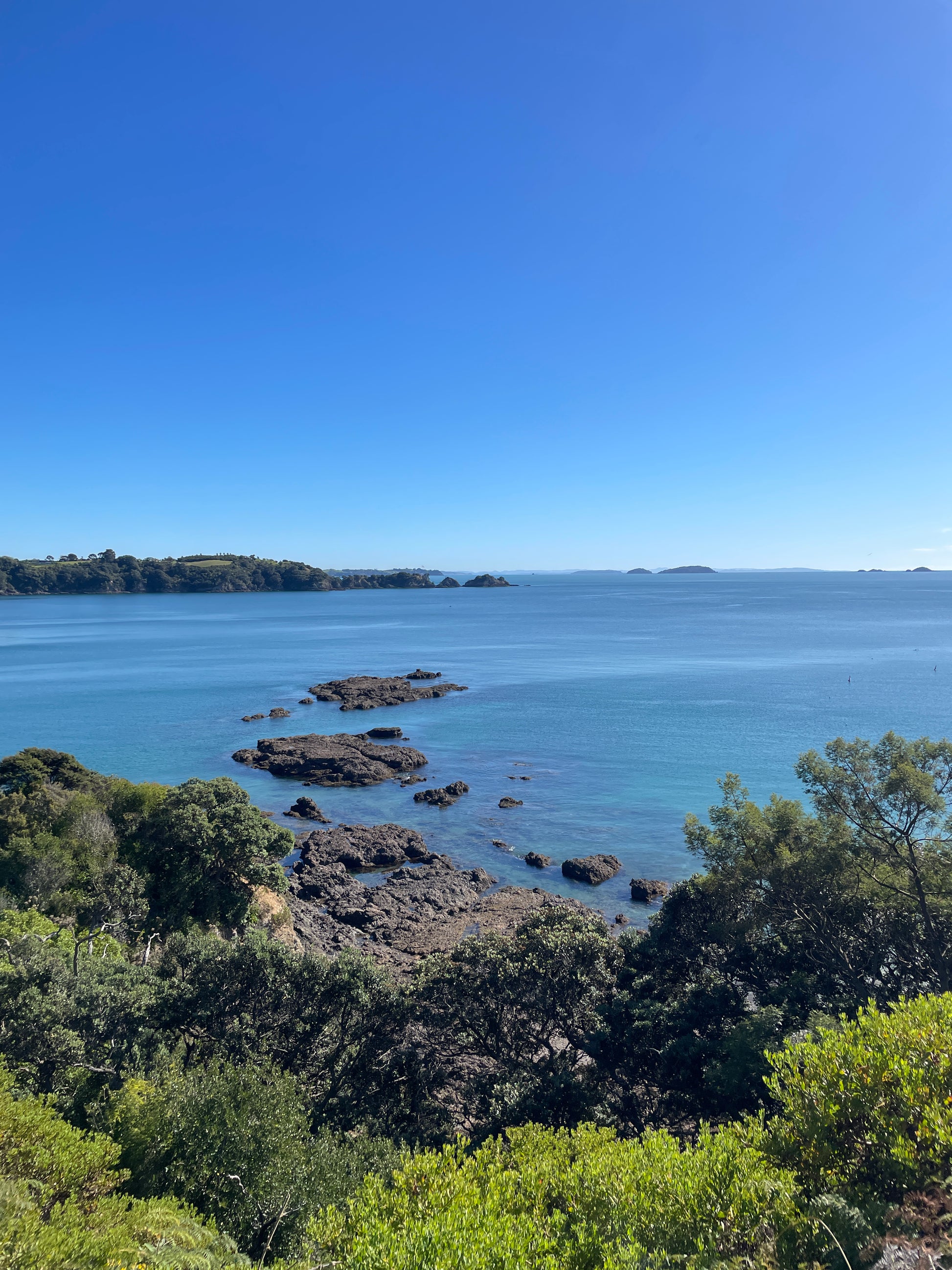 Waiheke Island, New Zealand Workshop | Deposit