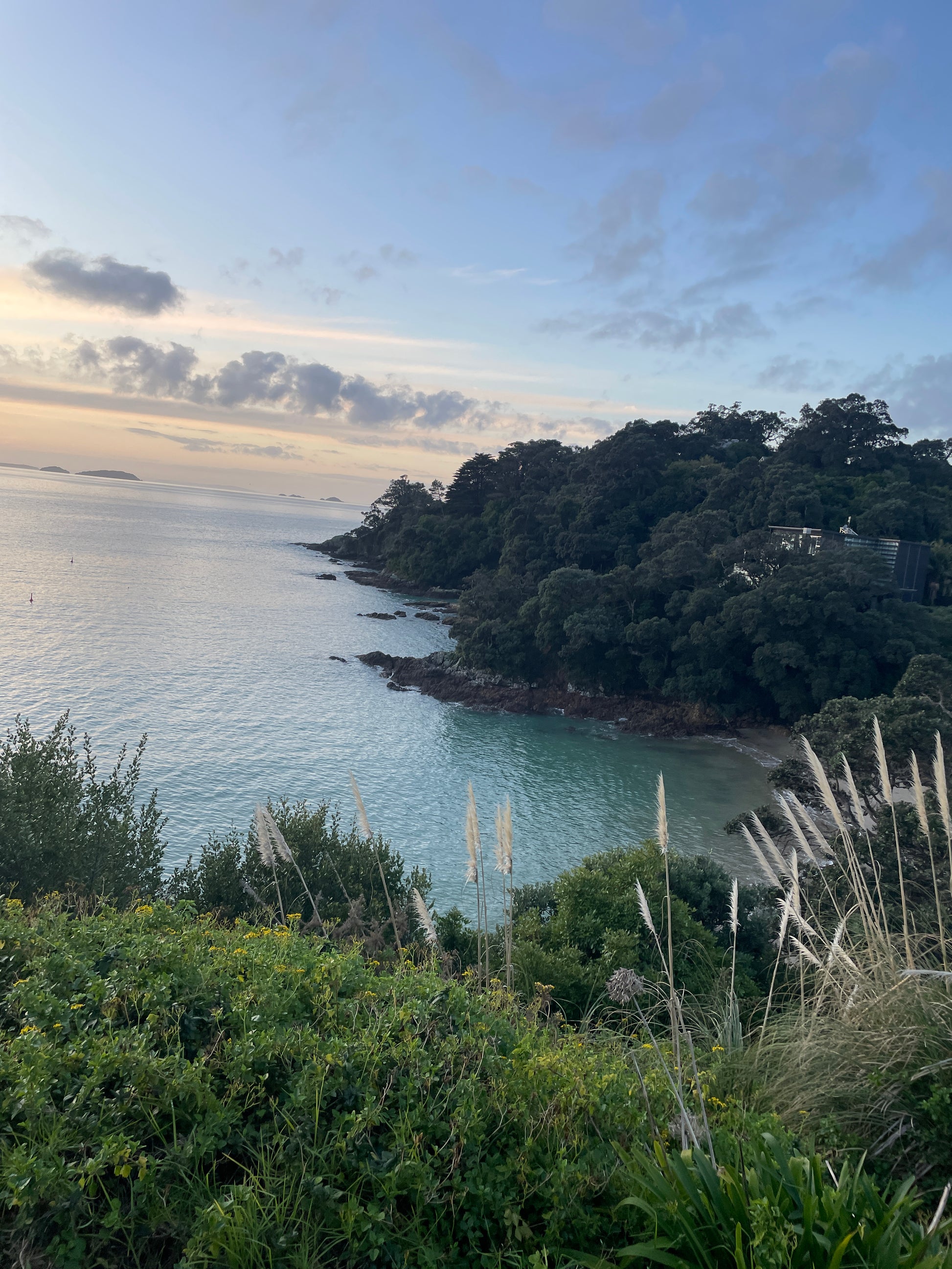 Waiheke Island, New Zealand Workshop | Deposit