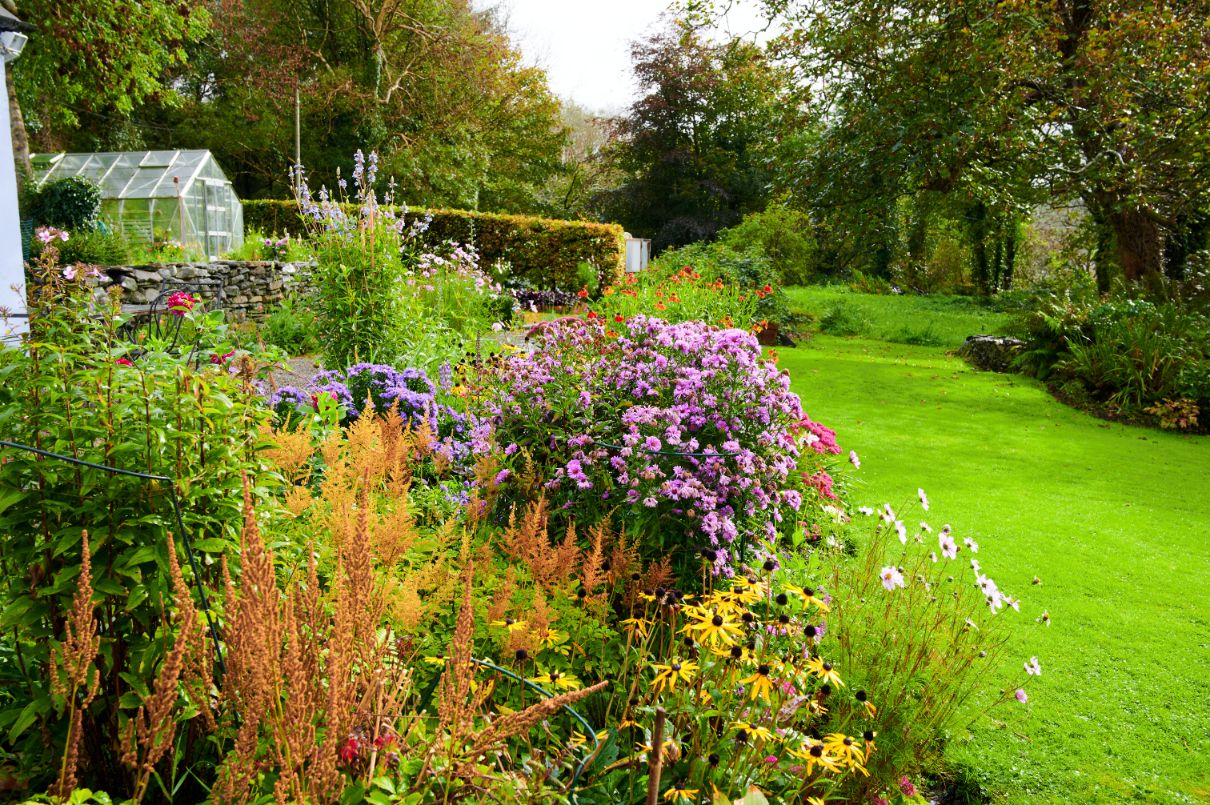 November Workshop (Ennis, Co. Clare)