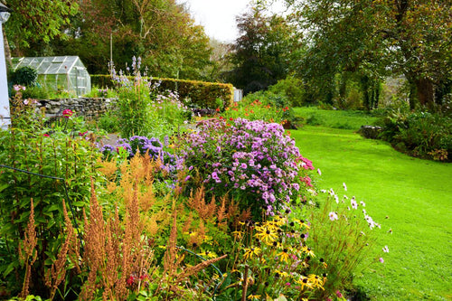 November Workshop (Ennis, Co. Clare)